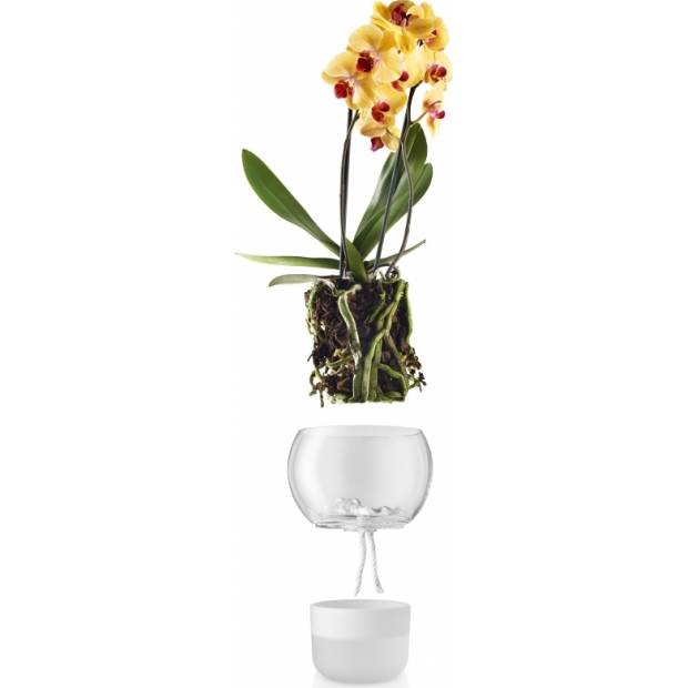 Samozavlažovací skleněný květináč na orchidej průměr 15cm, 568149 eva solo