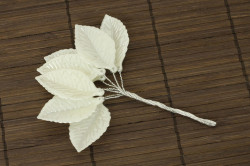 ar-prz755416.jpg