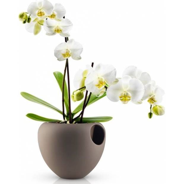Květináč na orchideje, hnědý, 568242 eva solo