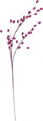 ar-deg483043-pur.jpg