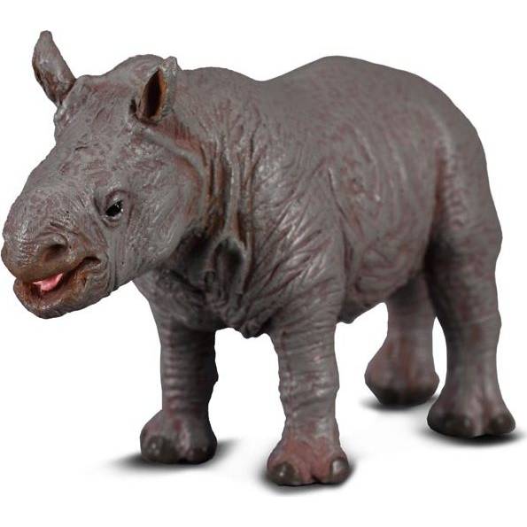 Nosorožec bílý mládě M1188089 Collecta