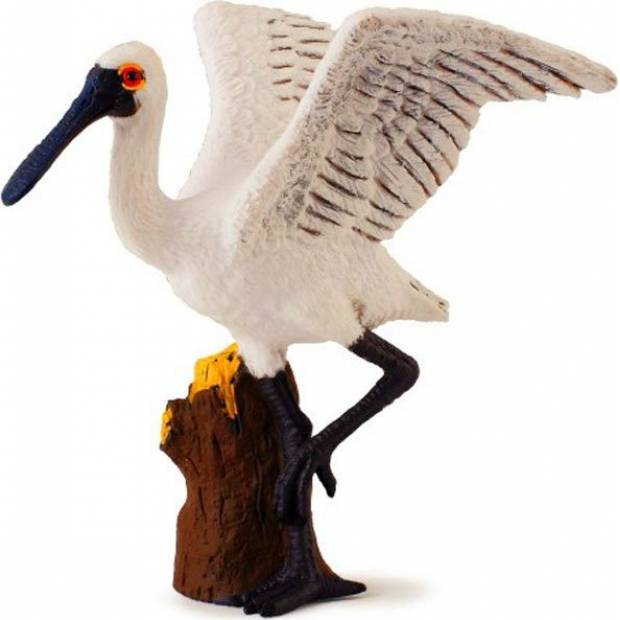 Kolpík malý stojící M1188396 Collecta