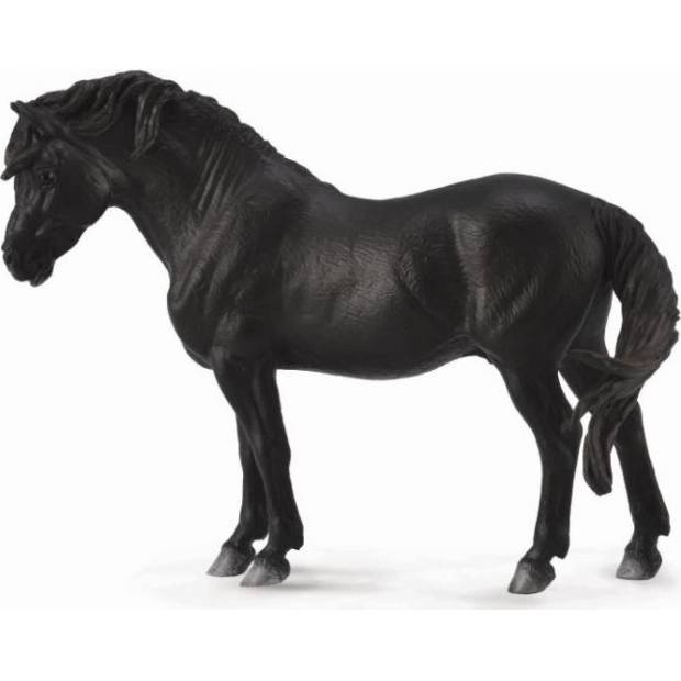 Dartmoorský pony - černý M1188603 Collecta