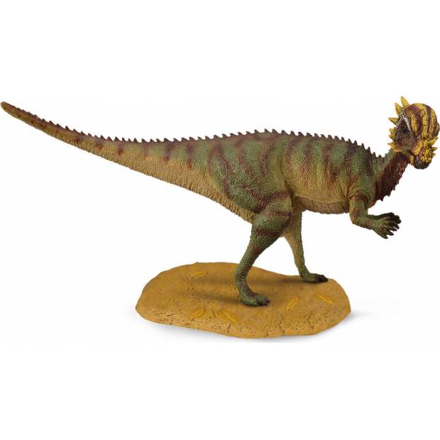 Pachycephalosaurus M1188629 Collecta
