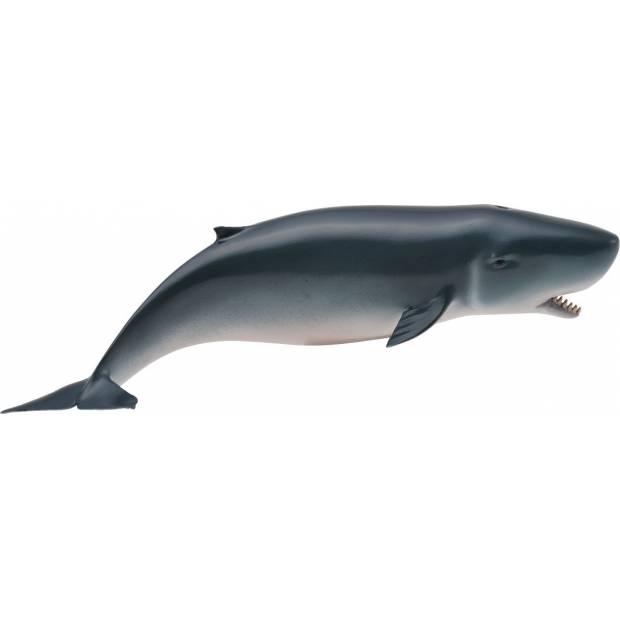 Kogie tuponosá M1188653 Collecta