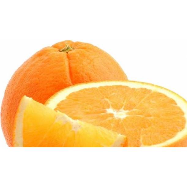 Ochucovací pasta 1kg compound pomeranč - Zeelandia