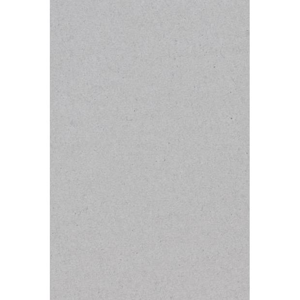 Ubrus na stůl stříbrný - plast - 137x274 cm - Amscan
