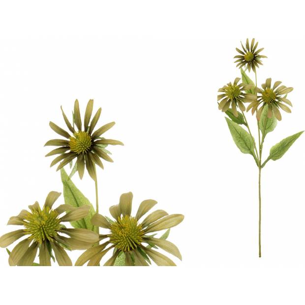 Echinacea, barva zelená. UKK204-GRN Art