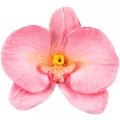 Forma na orchidej 92x60mm - Silikomart