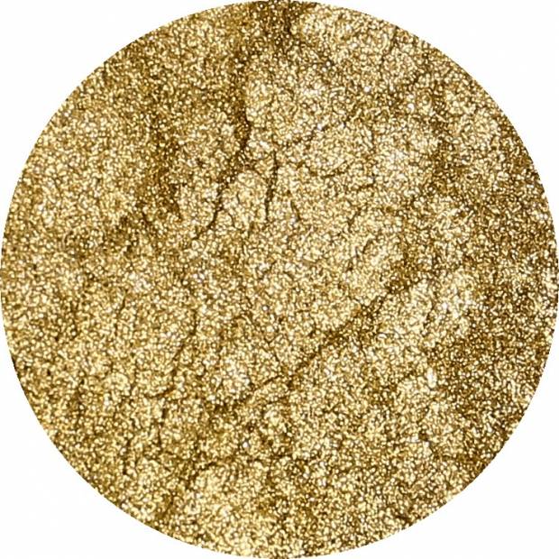 Prachová barva speciální zlatá 10g - Rolkem