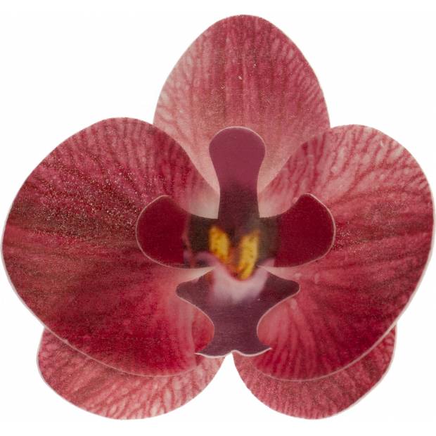 Květy z jedlého papíru orchidej růžová 10ks - Dekora