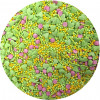 ilc1239.jpg