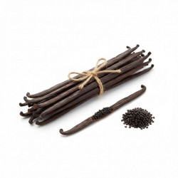 Vanilkový lusk Bourbon – Gourmet / Grade A (16 cm +) 10ks - Vanilla Ocean