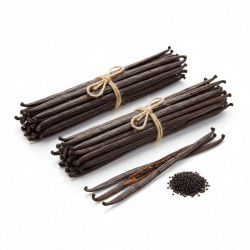 Vanilkový lusk Bourbon – Gourmet / Grade A (16 cm +) 100g (cca 30ks) - Vanilla Ocean