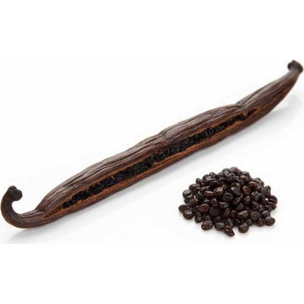Vanilkový lusk Bourbon – Gourmet / Grade A (16 cm +) 1ks - Vanilla Ocean