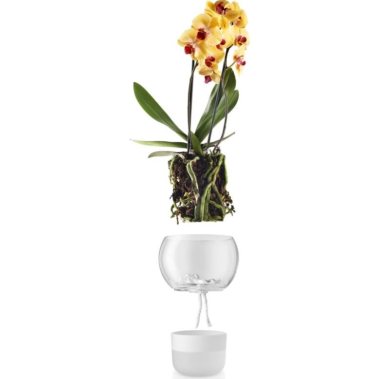 Samozavlažovací skleněný květináč na orchidej průměr 15cm, 568149 eva solo