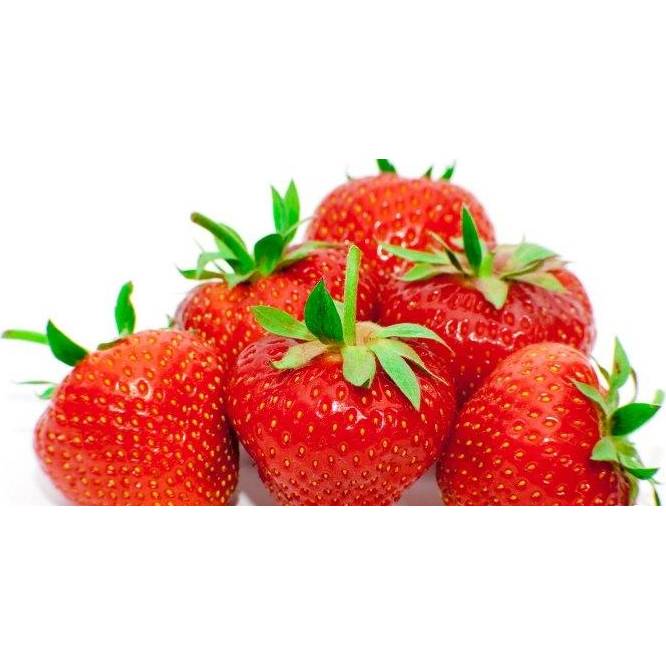 Fotografie Farcitura - zrcadlová poleva IRCA Jahoda (250 g) 2075 dortis