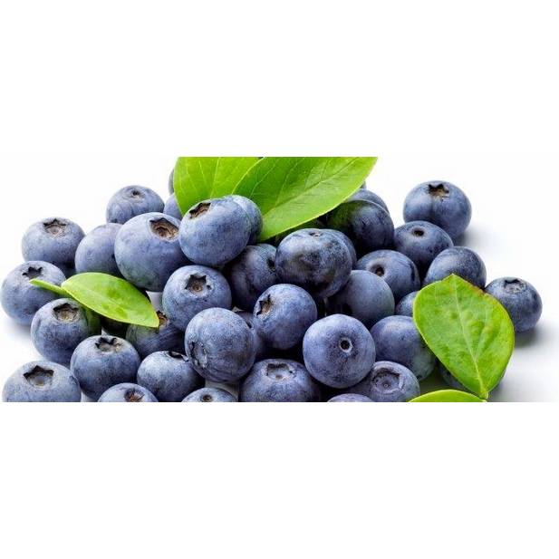 Fotografie Ochucovací pasta Borůvka (200 g) - Joypaste