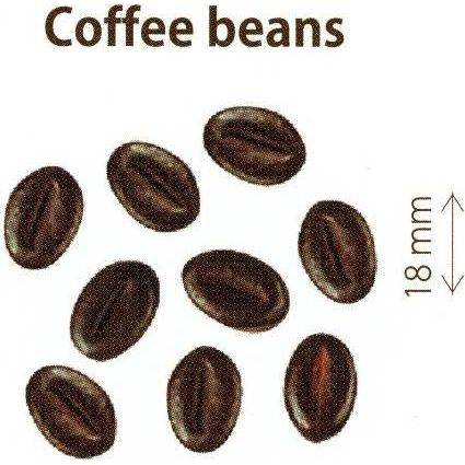 Fotografie Dekorace Čokoládovo-kávové zrno (50 g)
