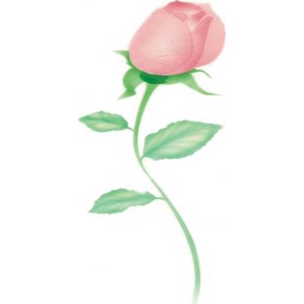 Stencil pro airbrush růže - Martellato