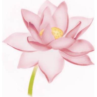 Fotografie Stencil pro airbrush lotus - Martellato