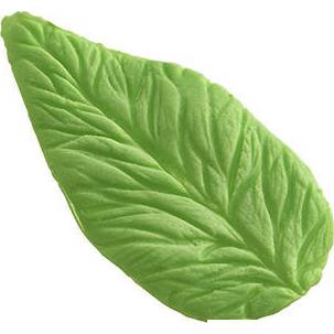 Fotografie Žilkovač list Foglia 43x81mm - Silikomart