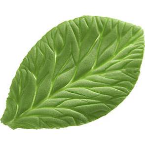 Fotografie Žilkovač list Foglia 100x60mm - Silikomart