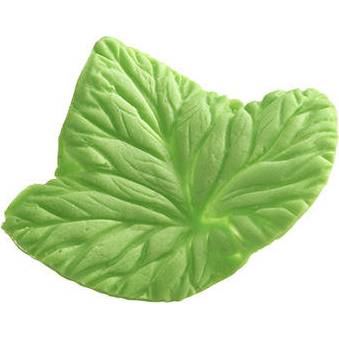 Fotografie Žilkovač list Foglia - Silikomart