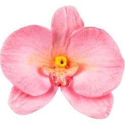 Fotografie Forma na orchidej 92x60mm - Silikomart