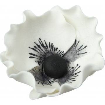Cukrová dekorace květ vlčí mák 6ks8cm bílý květ - Dekor Pol