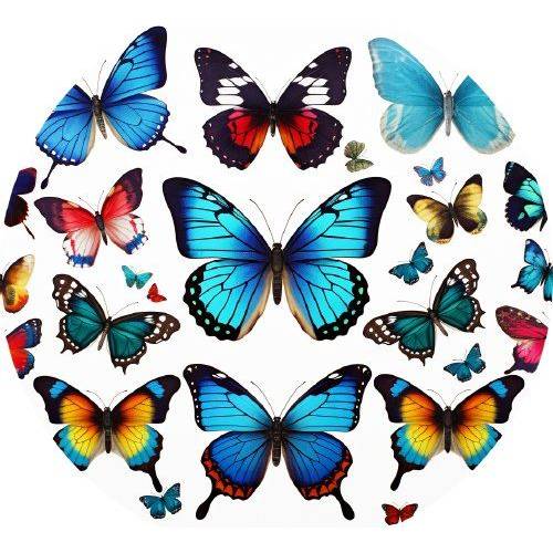 Jedlý papír motýlci 19,5cm - PICTURE