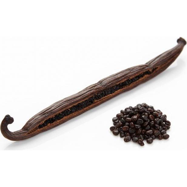 Vanilkový lusk Bourbon – Gourmet / Grade A (18 cm +) 1 ks - Vanilla Ocean - Vanilla Ocean